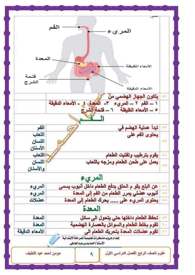 شرح مادة العلوم للصف الرابع الإبتدائي ٢٠٢٢ - ٢٠٢٢