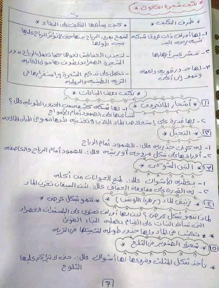 شرح مادة العلوم للصف الرابع الإبتدائي ٢٠٢٢ - ٢٠٢٢