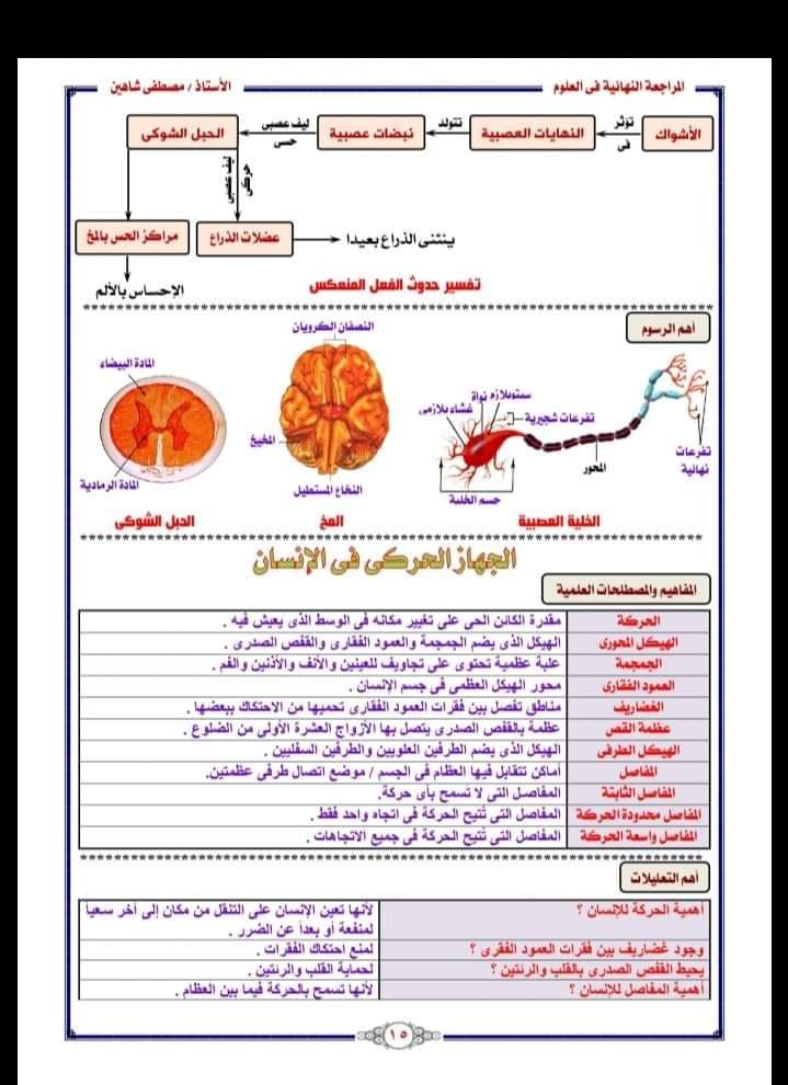 المراجعة النهائية علوم الصف السادس الابتدائى - استاذ مصطفى شاهين