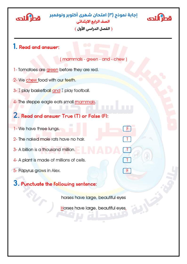 امتحانات قياس نواتج التعلم رابعة ابتدائي - اختبار انجليزي رابعة