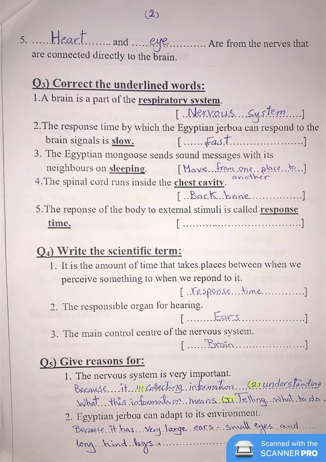 مراجعة نهائية science جونيور 4 رابعة ابتدائي لغات - concept1