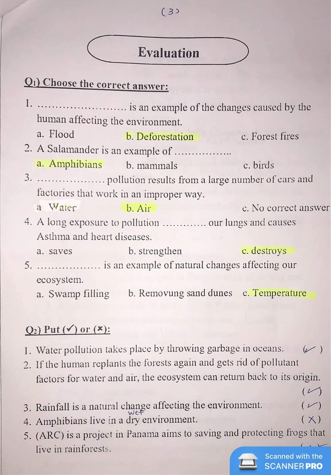 مراجعة نهائية science جونيور 4 رابعة ابتدائي لغات - concept1