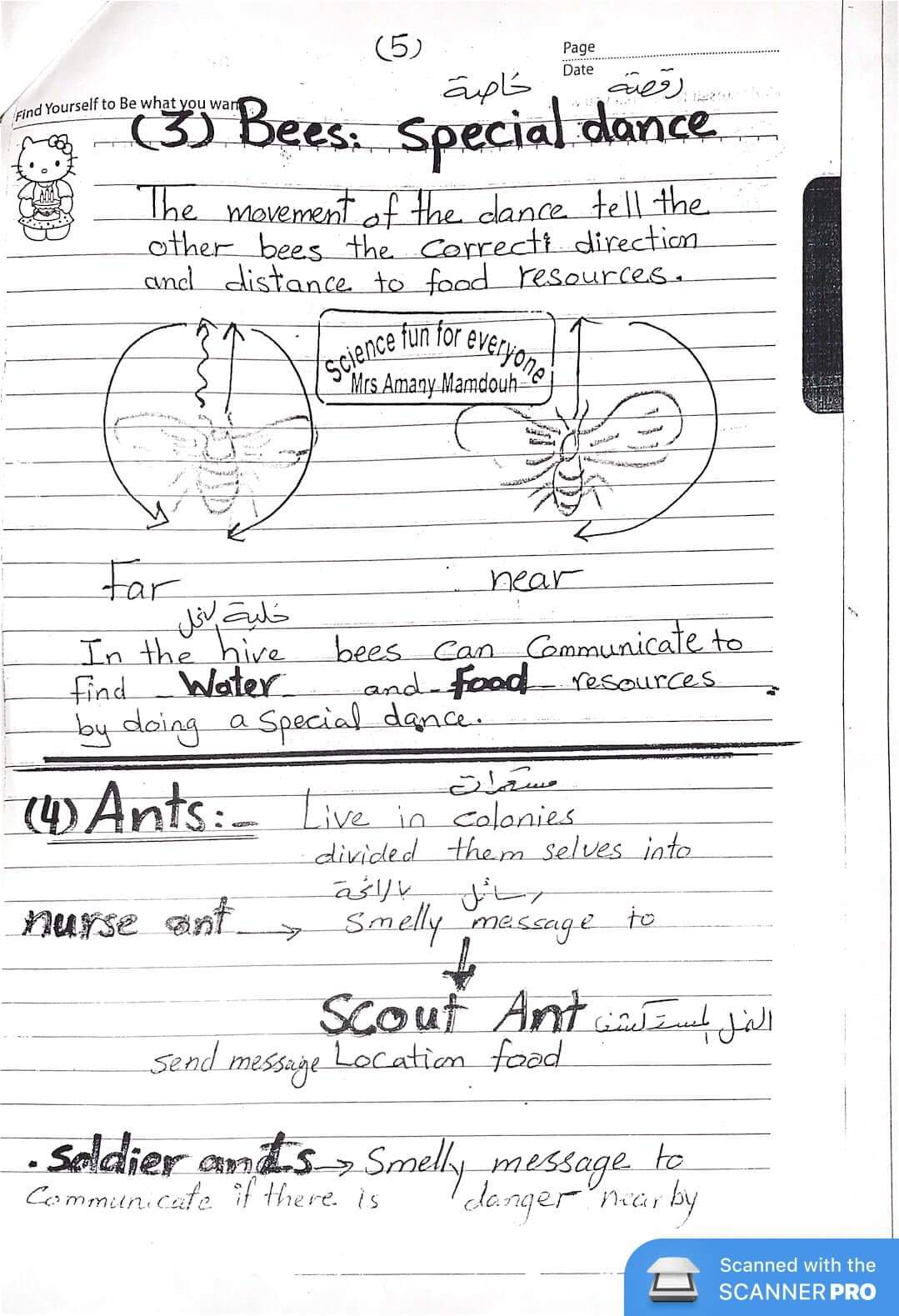 مراجعة نهائية science جونيور 4 رابعة ابتدائي لغات - concept1