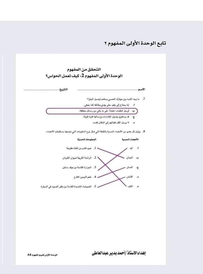 مراجعة ليلة الامتحان علوم رابعة ابتدائي - اسئلة بنك المعرفة