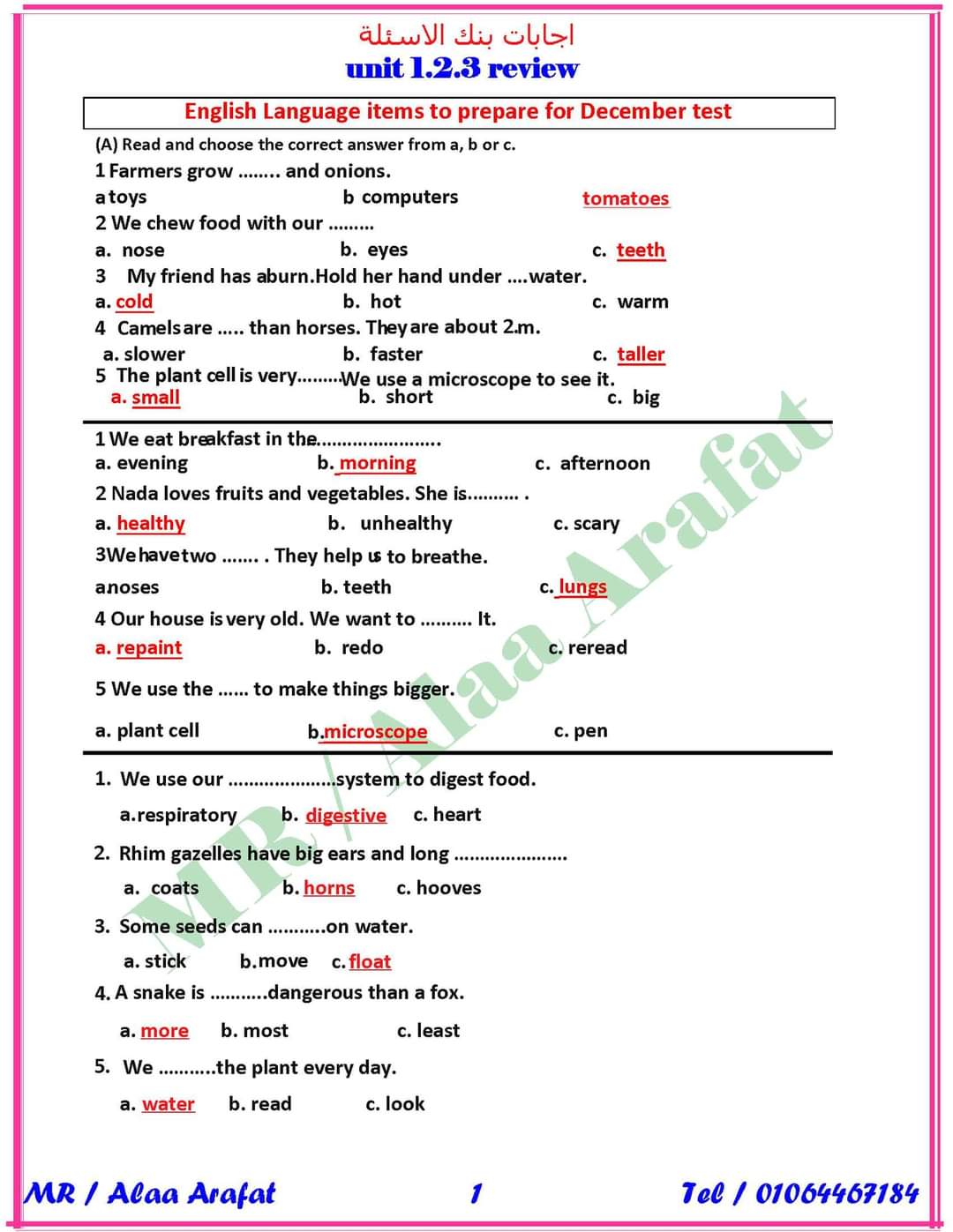 مراجعة ليلة الامتحان إنجليزي رابعة ابتدائي - اخبار رابعة ابتدائي