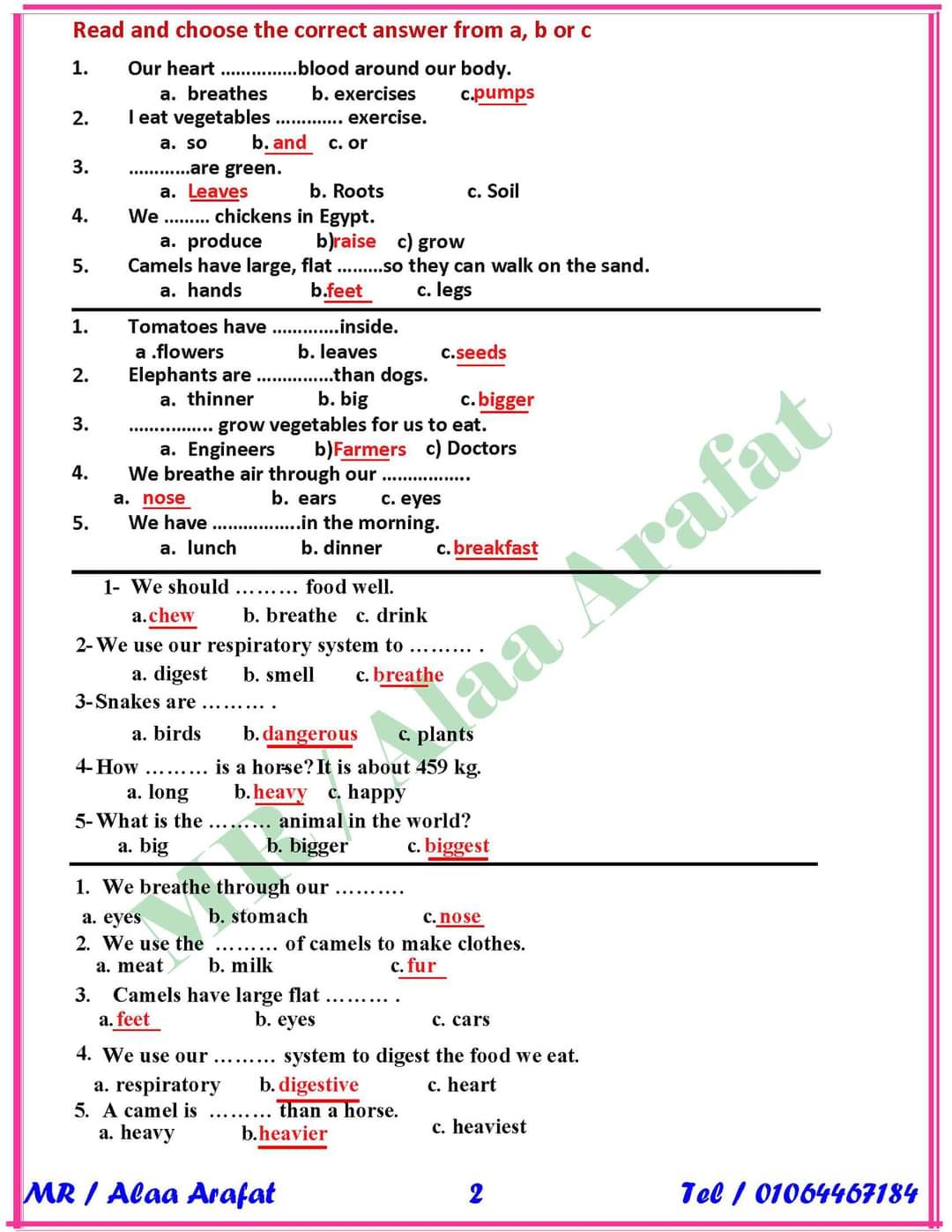 مراجعة ليلة الامتحان إنجليزي رابعة ابتدائي - اخبار رابعة ابتدائي