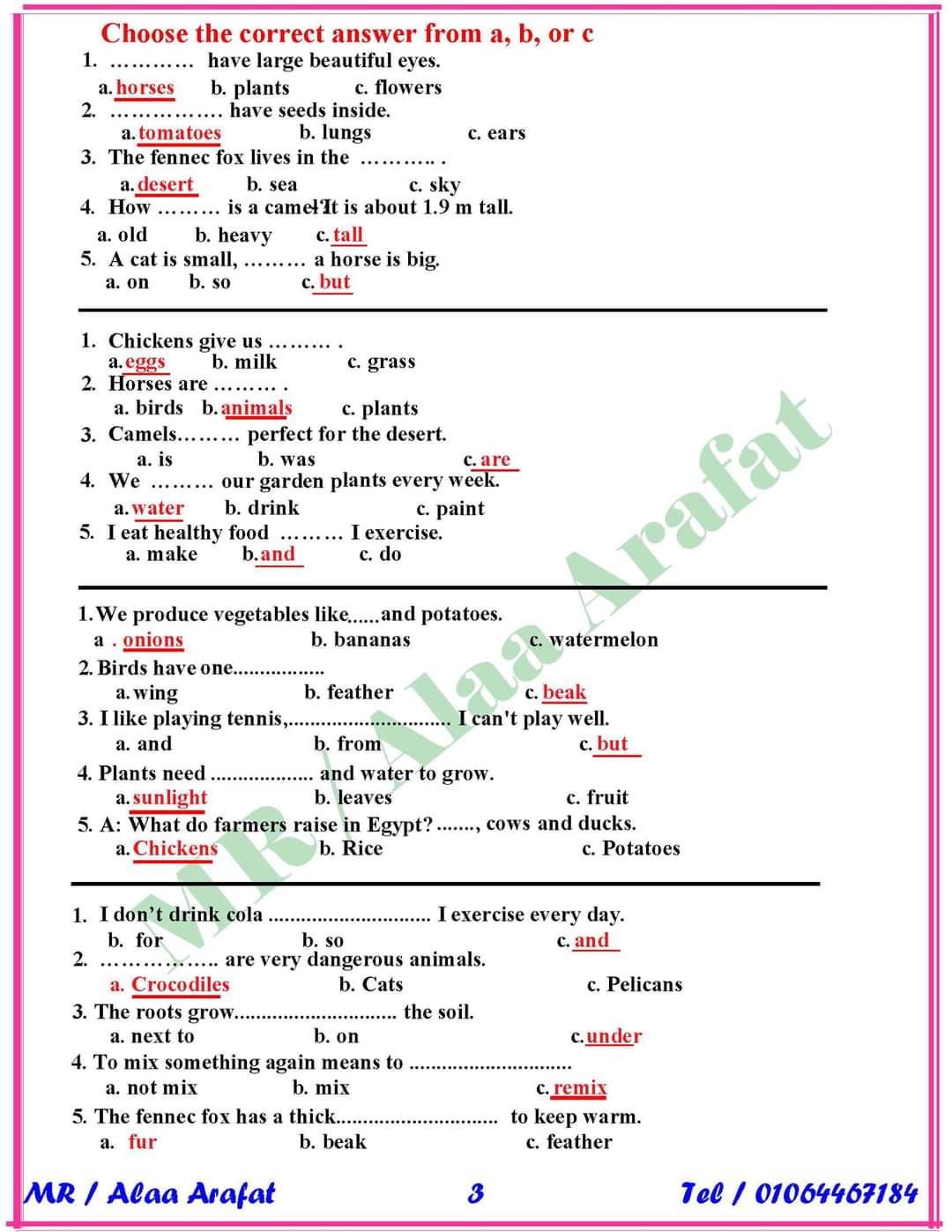 مراجعة ليلة الامتحان إنجليزي رابعة ابتدائي - اخبار رابعة ابتدائي