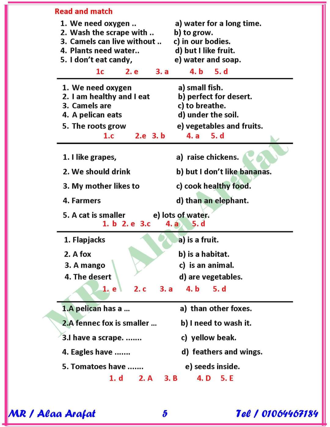 مراجعة ليلة الامتحان إنجليزي رابعة ابتدائي - اخبار رابعة ابتدائي