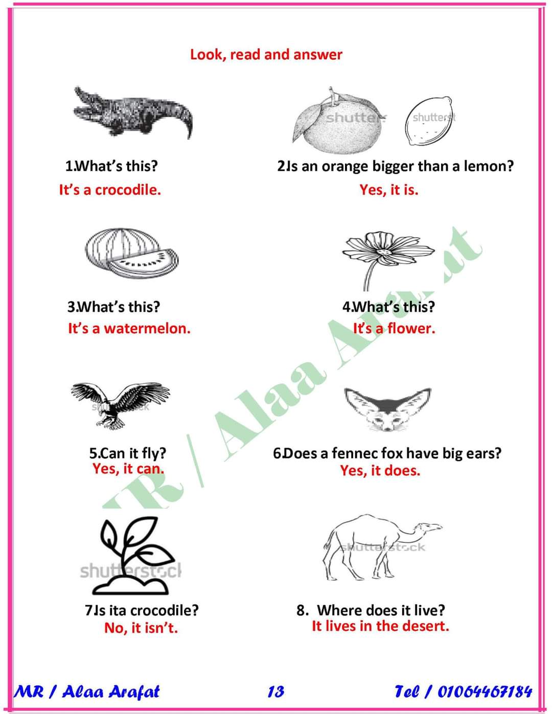 مراجعة ليلة الامتحان إنجليزي رابعة ابتدائي - اخبار رابعة ابتدائي