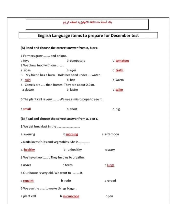 حل أسئلة نماذج الوزارة إنجليزي رابعة ابتدائي - إجابات اسئلة بنك المعرفة