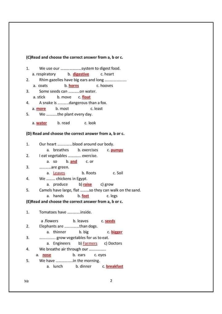 حل أسئلة نماذج الوزارة إنجليزي رابعة ابتدائي - إجابات اسئلة بنك المعرفة