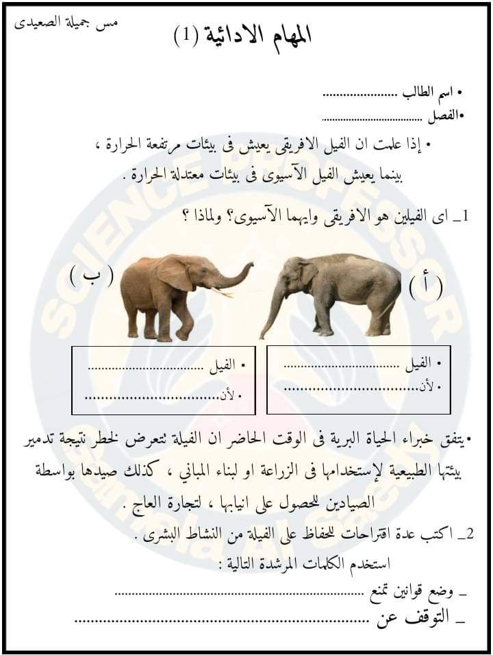 تحميل المهام الادائية علوم رابعة ابتدائي الترم الاول 2023 بالاجابات - المهام الادائية