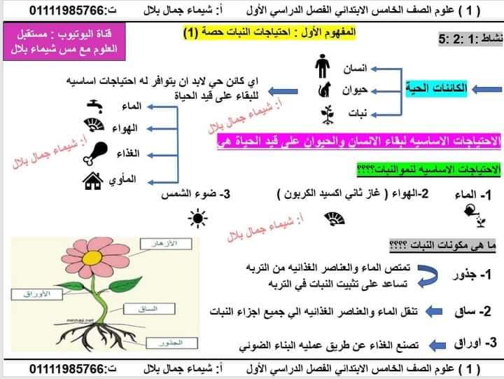 شرح المفهوم الأول احتياجات النبات الصف الخامس الابتدائي الفصل الدراسي الأول