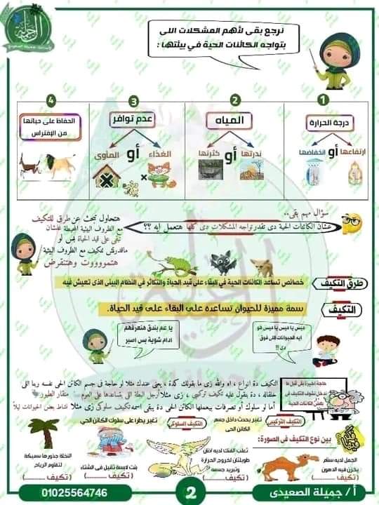 مذكرة شرح المفهوم الاول في العلوم للصف الرابع الابتدائي الترم الاول م- جميلة الصعيدي