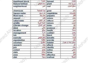 ملزمة اللغة الانجليزية connect 6 الصف السادس الابتدائي الترم الاول