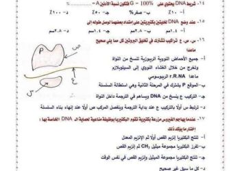 تحميل 50 سؤال متوقع في الاحياء علي DNA , RNA للصف الثالث الثانوي بالاجابات