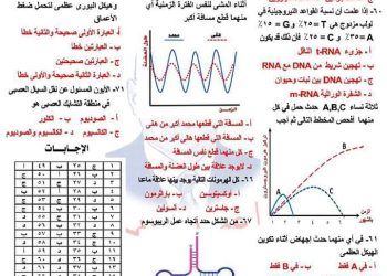 تحميل افضل 71 سؤال احياء بنظام بابل شيت للصف الثالث الثانوي بالاجابات