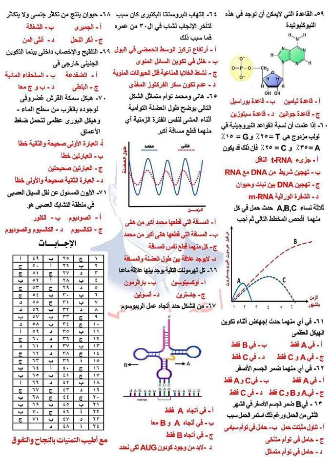 تحميل افضل 71 سؤال احياء بنظام بابل شيت للصف الثالث الثانوي بالاجابات