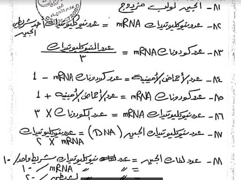 تحميل 90 ملحوظة على DNA تساعدك علي حل اى سؤال للصف الثالث الثانوى