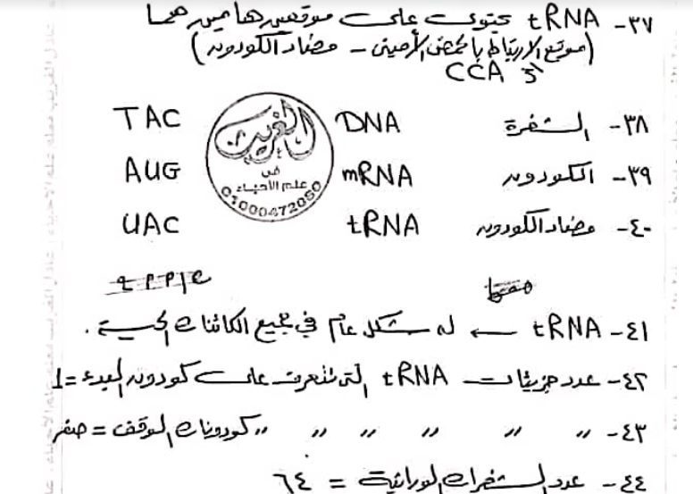 تحميل 90 ملحوظة على DNA تساعدك علي حل اى سؤال للصف الثالث الثانوى