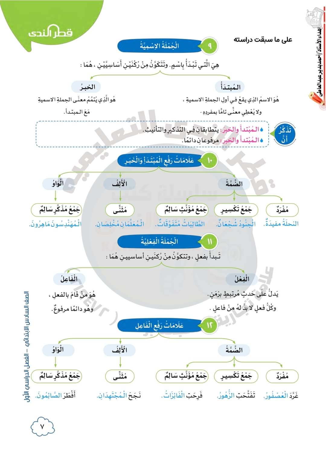 تجميع مراجعات النحو والظواهر اللغوية للصف السادس الابتدائي نظام جديد 2024