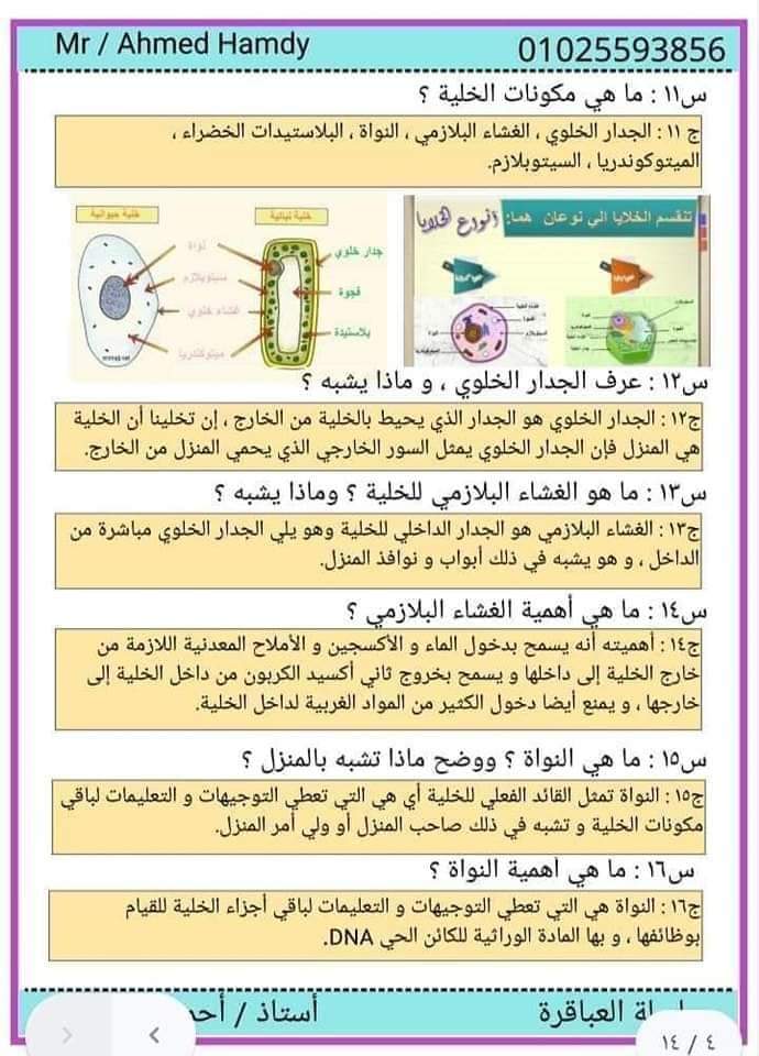 ملزمة علوم الصف السادس الإبتدائي المفهوم الأول منهج 2024  100 سؤال و جواب استاذ احمد حمدي