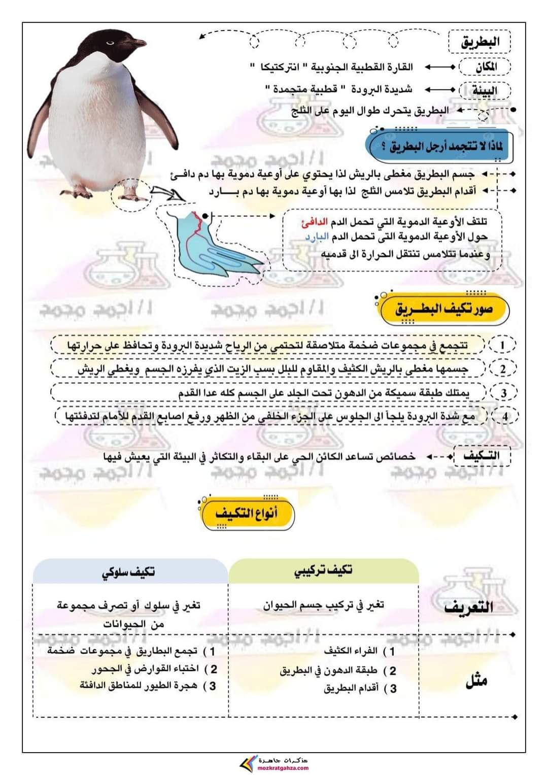 ملزمة الخيميائي في العلوم للصف الرابع الابتدائي الترم الاول