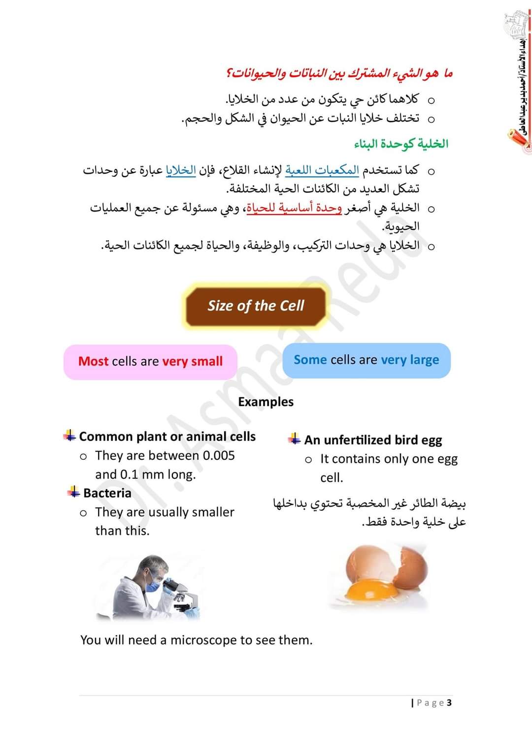 ملزمة ساينس مترجمة للصف السادس الابتدائي لغات نظام جديد ترم اول