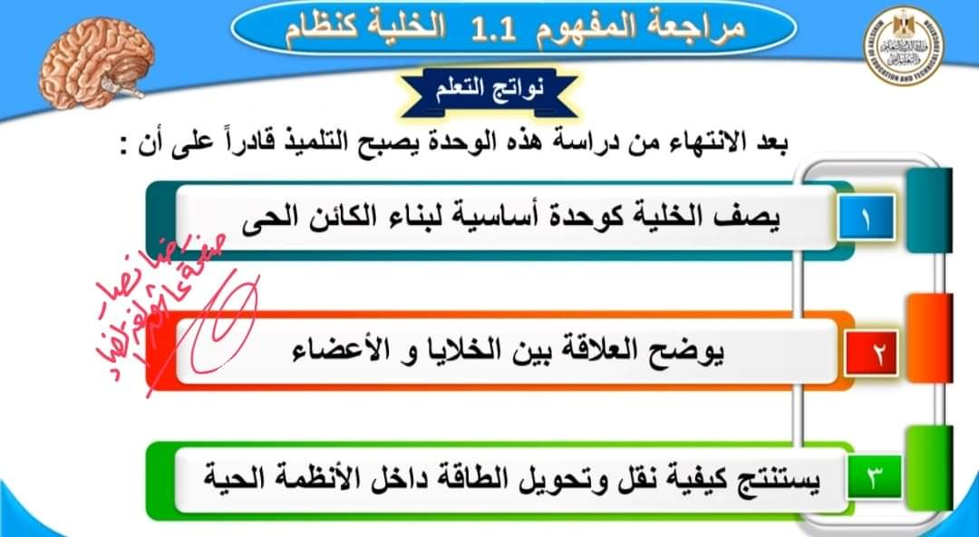 مراجعة منصة البث المباشر المفهوم الاول علوم ستة ابتدائي الترم الاول