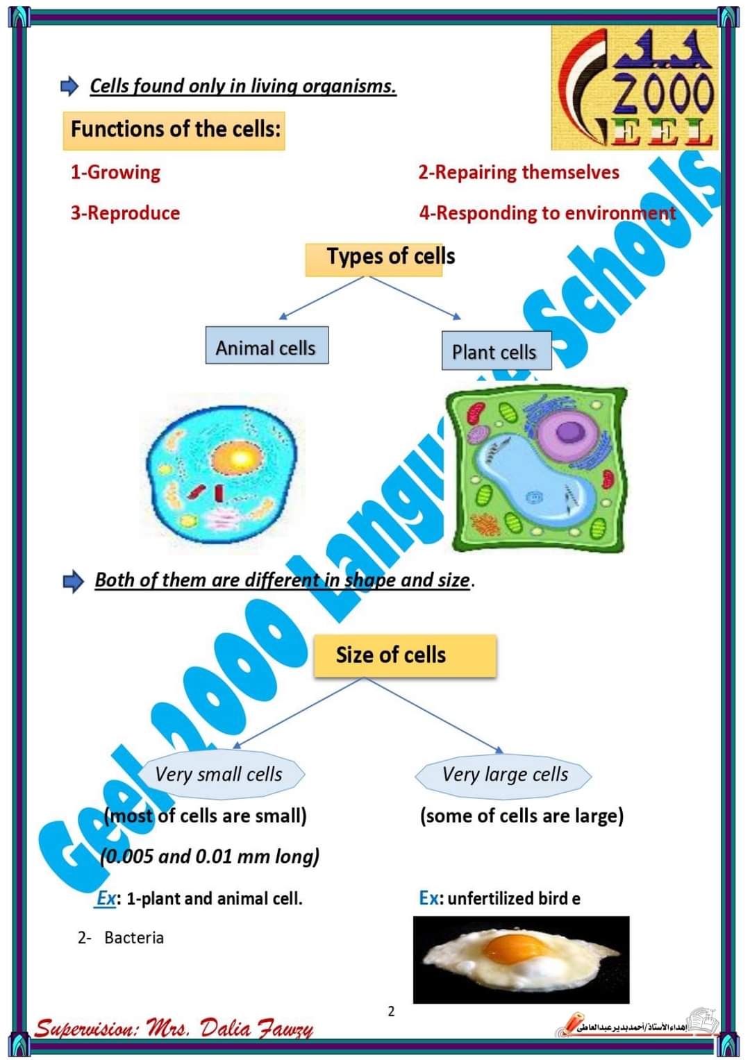 بوكلت مدارس الجيل ساينس science الصف السادس الترم الاول 2024