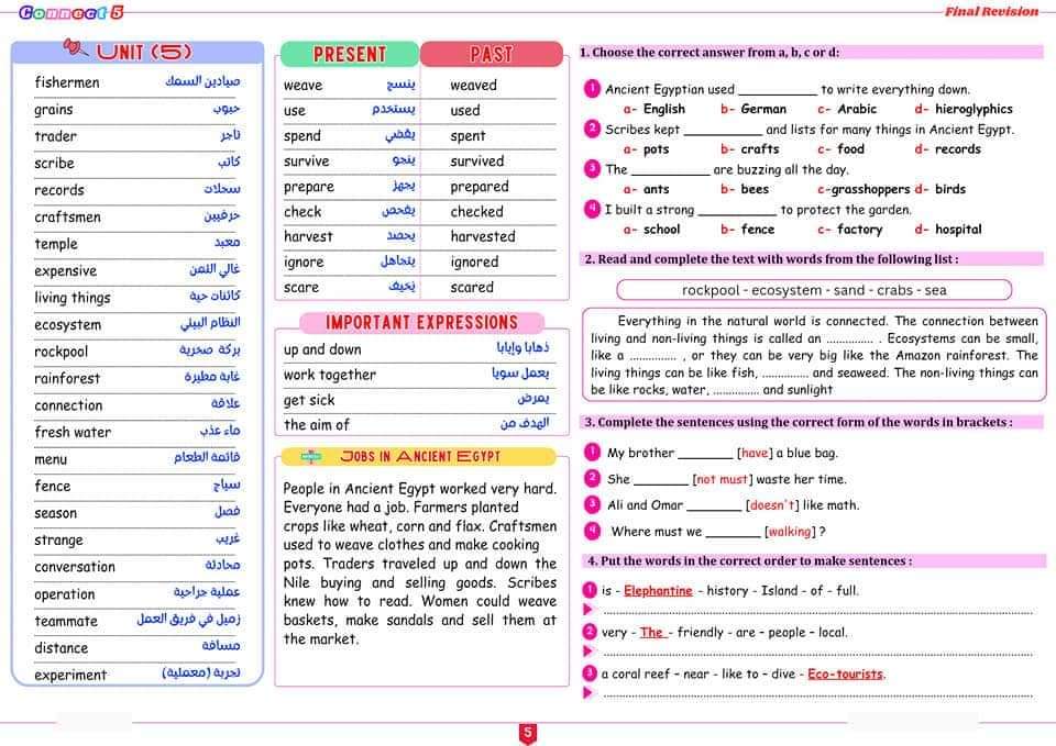 مذكرات مراجعة لغة إنجليزية بدون حقوق للمرحلة الابتدائية الترم الاول 2024