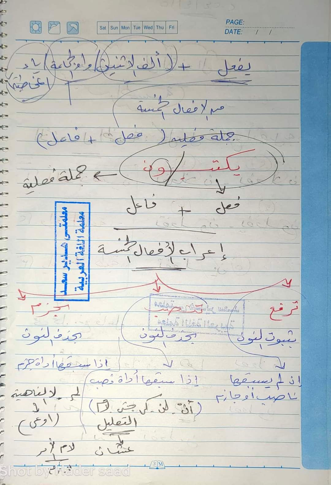 مراجعة الأفعال الخمسة للصف السادس الابتدائي نظام جديد