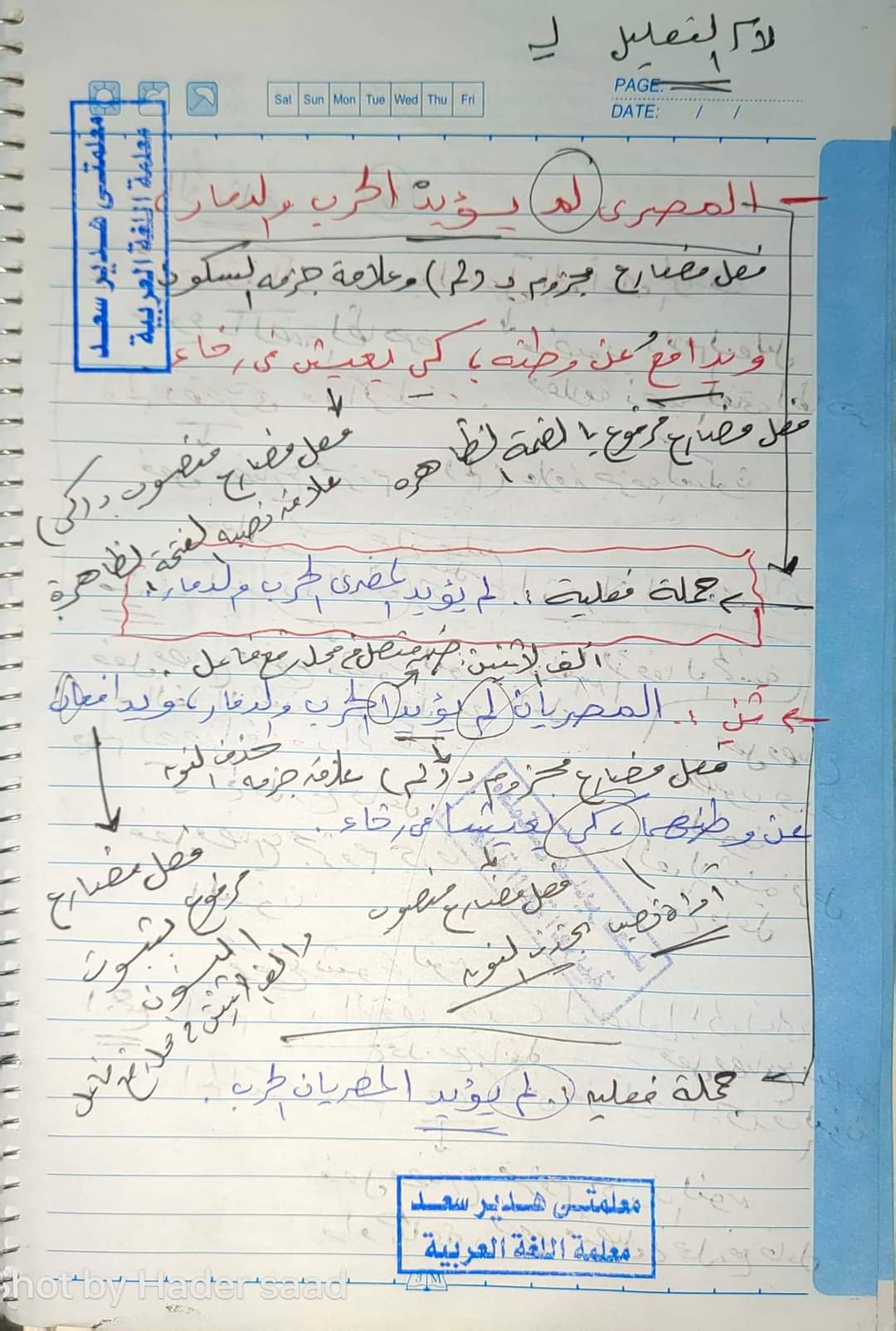 مراجعة الأفعال الخمسة للصف السادس الابتدائي نظام جديد