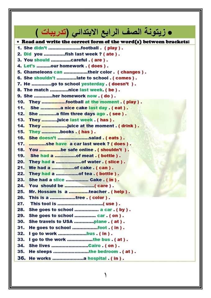 مراجعة الزيتونة النهائية في اللغة الإنجليزية الصف الرابع الابتدائي الترم الثاني