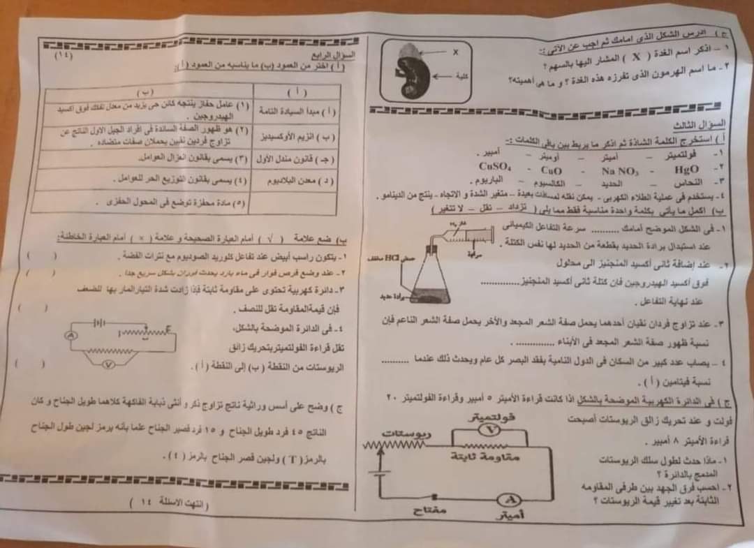 إجابة امتحان العلوم محافظة البحيرة تالتة اعدادي الترم الثاني ٢٠٢٤