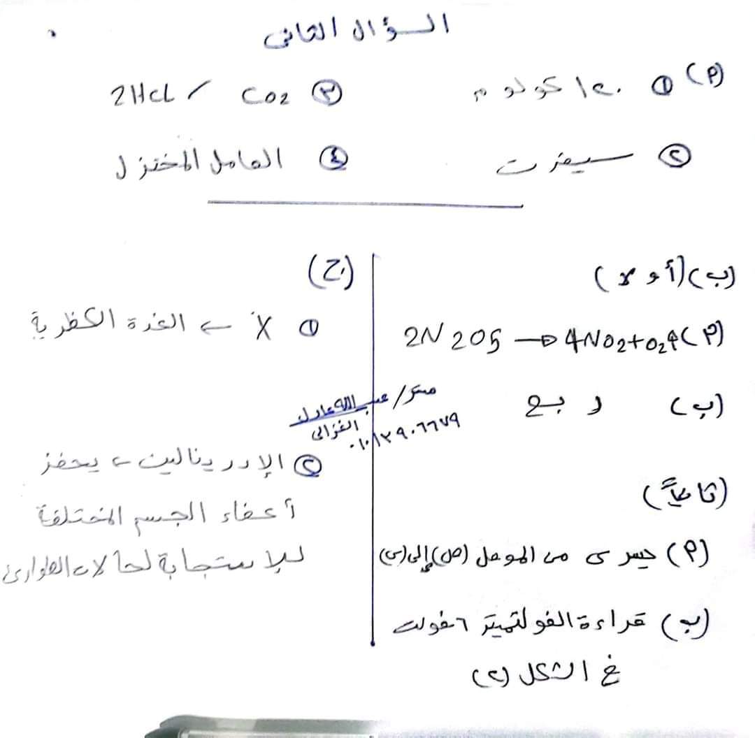 إجابة امتحان العلوم محافظة البحيرة تالتة اعدادي الترم الثاني ٢٠٢٤