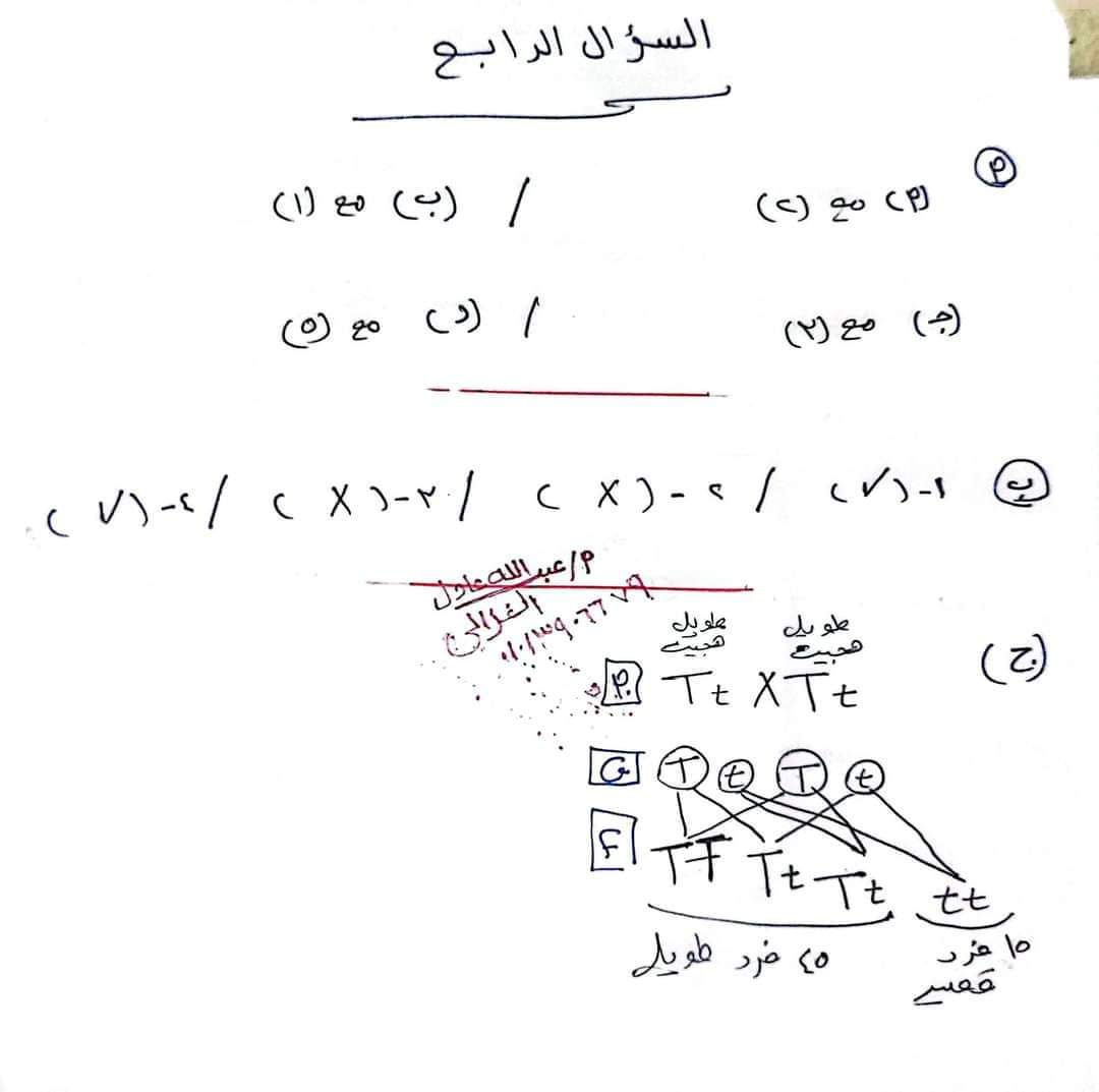 إجابة امتحان العلوم محافظة البحيرة تالتة اعدادي الترم الثاني ٢٠٢٤