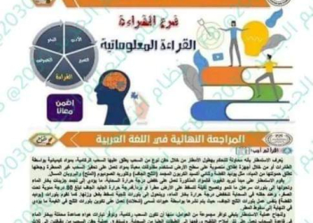 خلاصة مراجعات كل فروع اللغة العربية للثانوية العامة