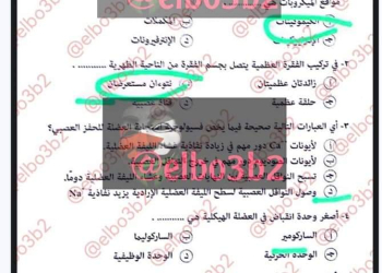 اجابة امتحان النحو للثانوية الأزهرية علمي 2024 - تحميل امتحانات الثانوية الأزهرية