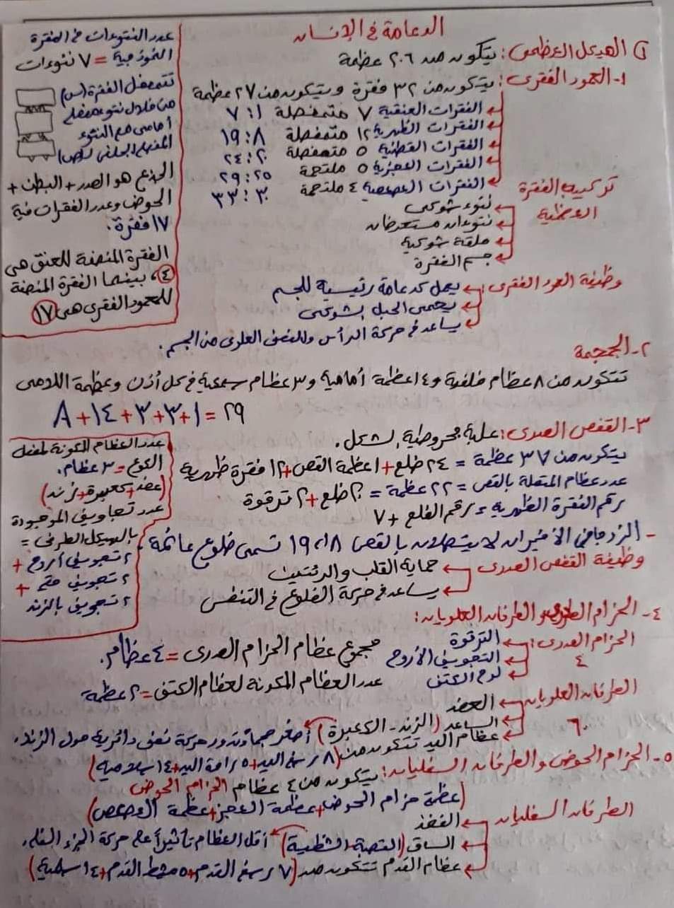 25 سؤال متوقع في امتحان الأحياء للثانوية العامة 2024