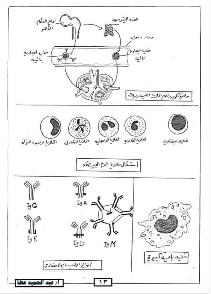 أسئلة لن يخرج عنها امتحان الأحياء لطلاب الثانوية العامة 2024