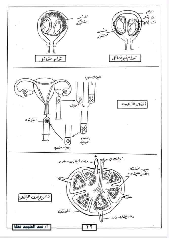 أسئلة لن يخرج عنها امتحان الأحياء لطلاب الثانوية العامة 2024