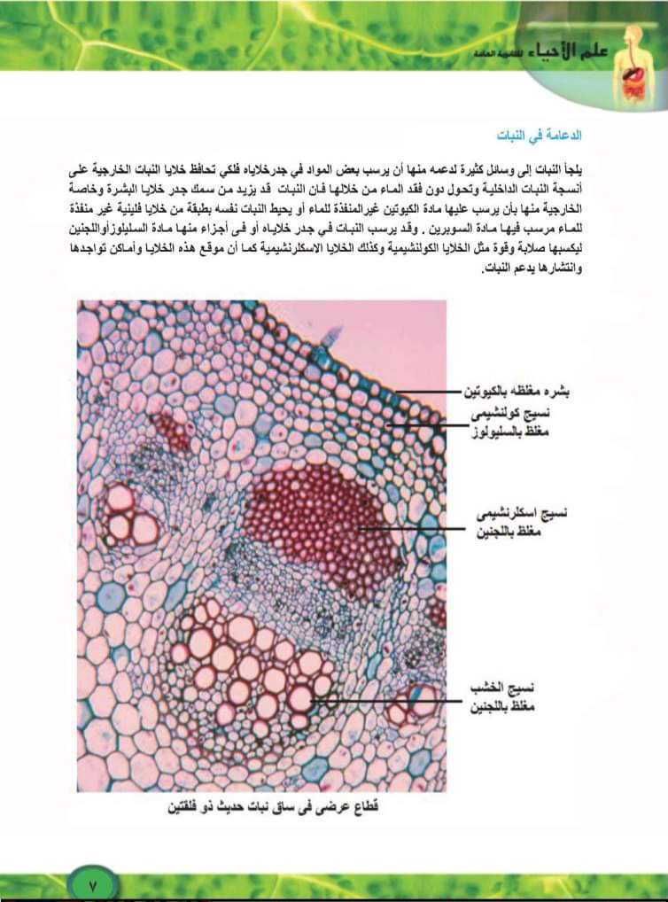 تحميل كتاب الاحياء الجديد للصف الثالث الثانوي الترم الاول 2025 - تحميل كتاب الاحياء