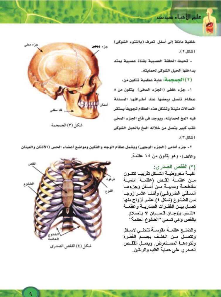 تحميل كتاب الاحياء الجديد للصف الثالث الثانوي الترم الاول 2025 - تحميل كتاب الاحياء