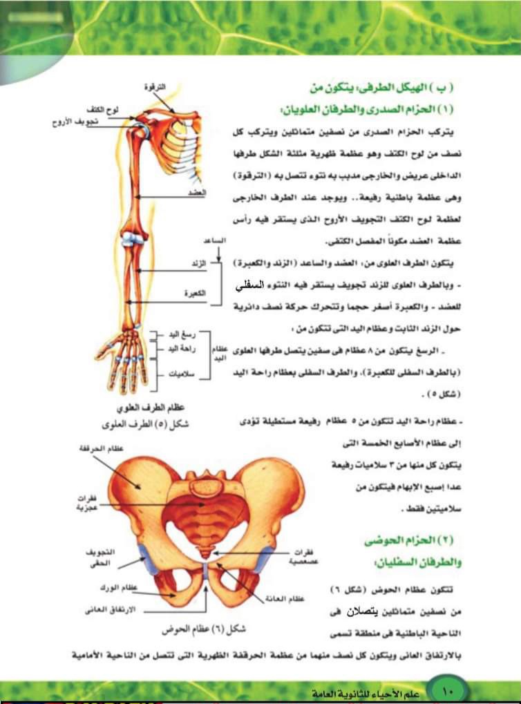 تحميل كتاب الاحياء الجديد للصف الثالث الثانوي الترم الاول 2025 - تحميل كتاب الاحياء