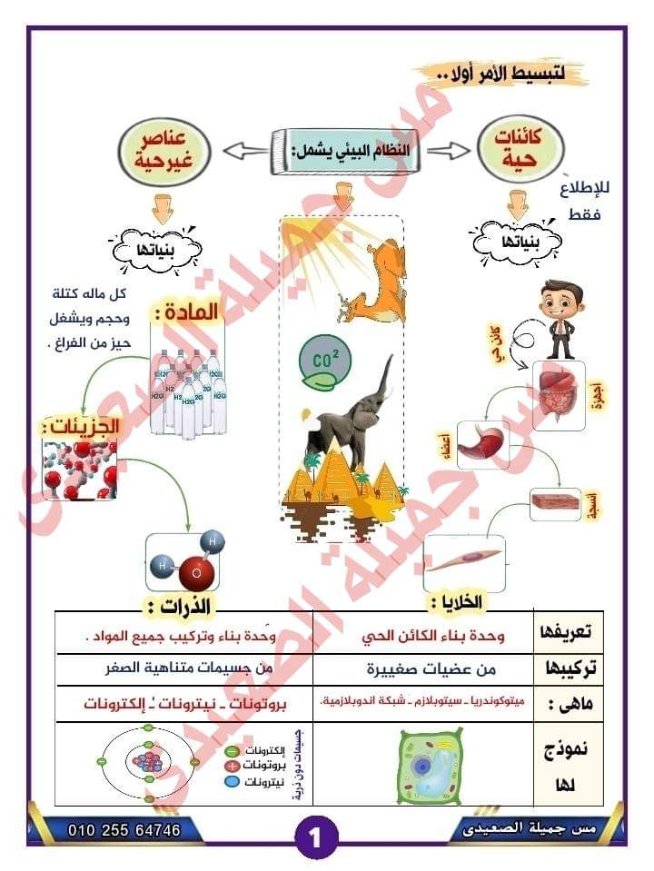 ملزمة الجميلة في العلوم للصف الأول الاعدادي نظام جديد الترم الاول 2025