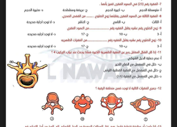 اختبار احياء شامل على الهيكل المحورى للصف الثالث الثانوي