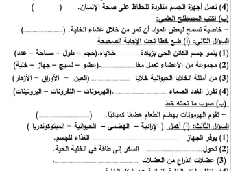 نماذج تقييم لشهر اكتوبر 2024 في العلوم للصفوف الرابع والخامس والسادس الابتدائي