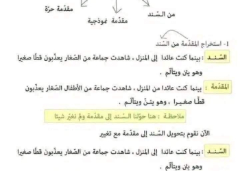 خطوات كتابة تعبير كتابي بالتفصيل لصفوف المرحلة الابتدائية والإعدادية