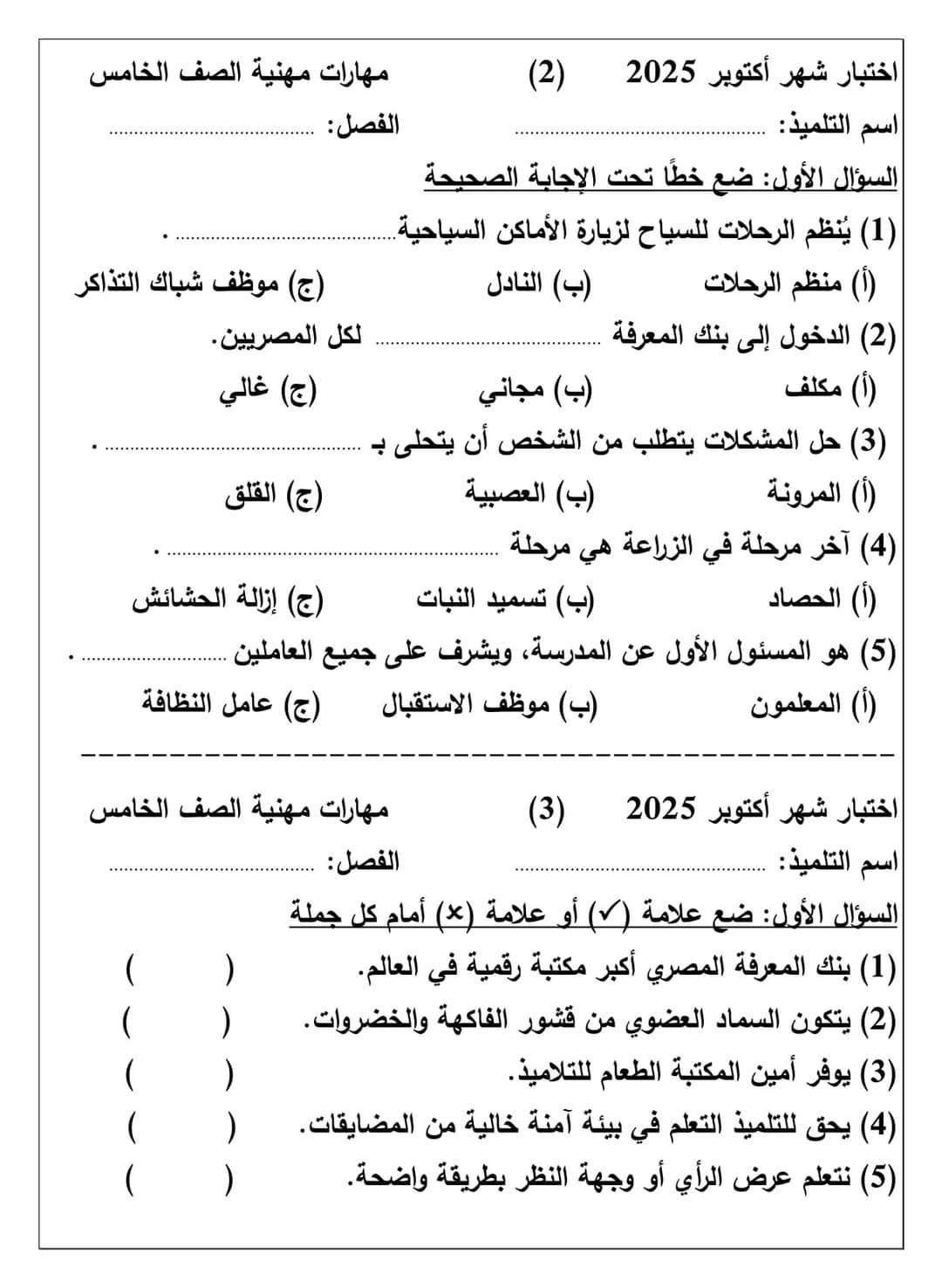 نماذج تقييم لشهر اكتوبر 2024 في المهارات المهنية للصفوف الرابع والخامس والسادس الابتدائي